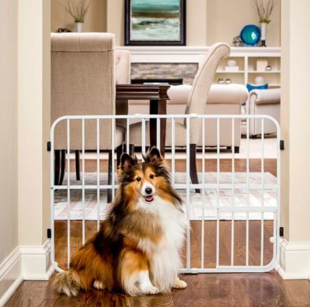 Carlson Pet Products Tuffy Metal Expandable Gate With Small Pet Door, Fits 26-42" Doorways