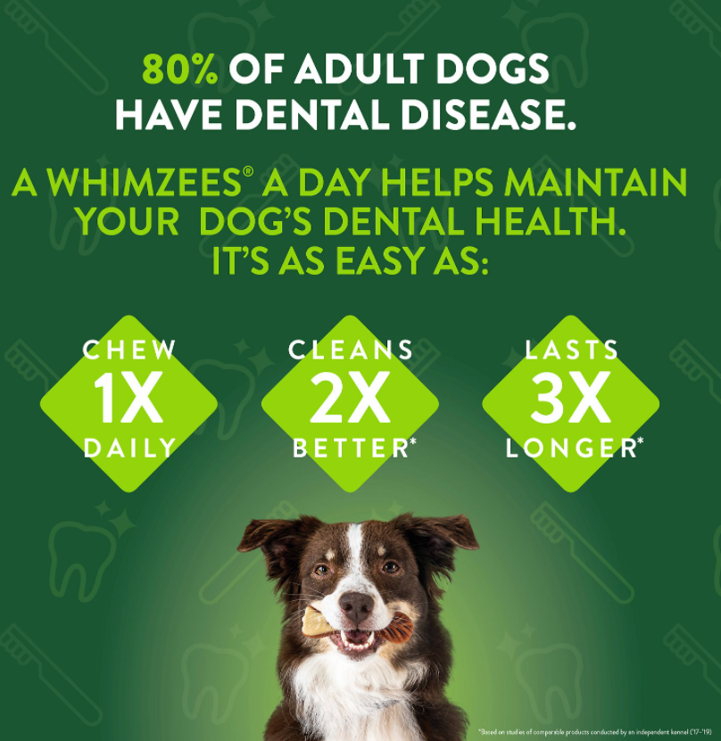 Whimzees Alligator Large Dental Dog Treats
