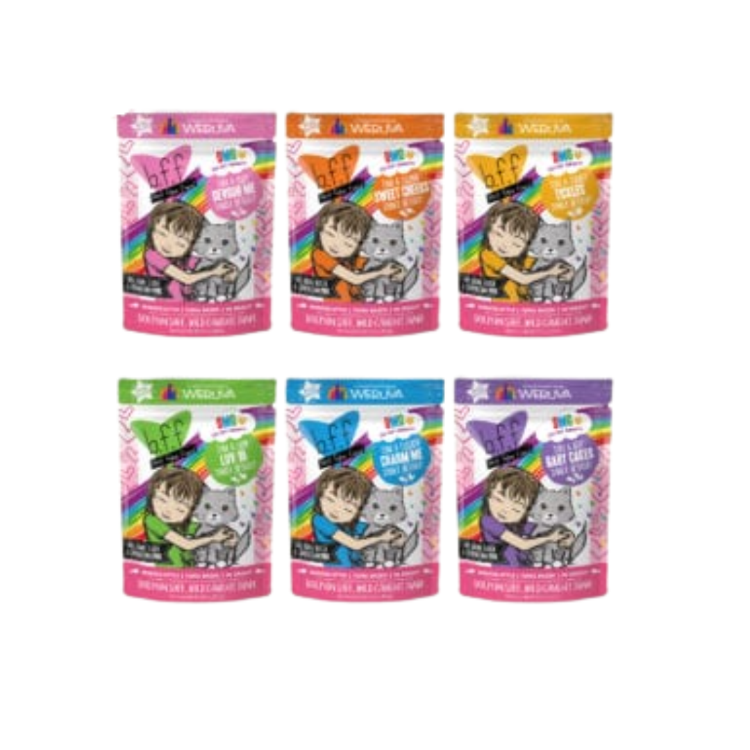 Weruva B.F.F. OMG! Rainbow A Gogo Wet Cat Food Variety Pack 12 ct