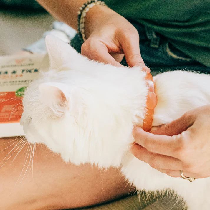 Wondercide Flea & Tick Collar for Cats with Natural Essential Oils