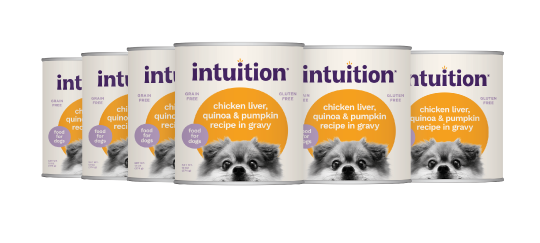Intuition Chicken Liver, Quinoa & Pumpkin Recipe in Gravy Grain-Free Canned Dog Food