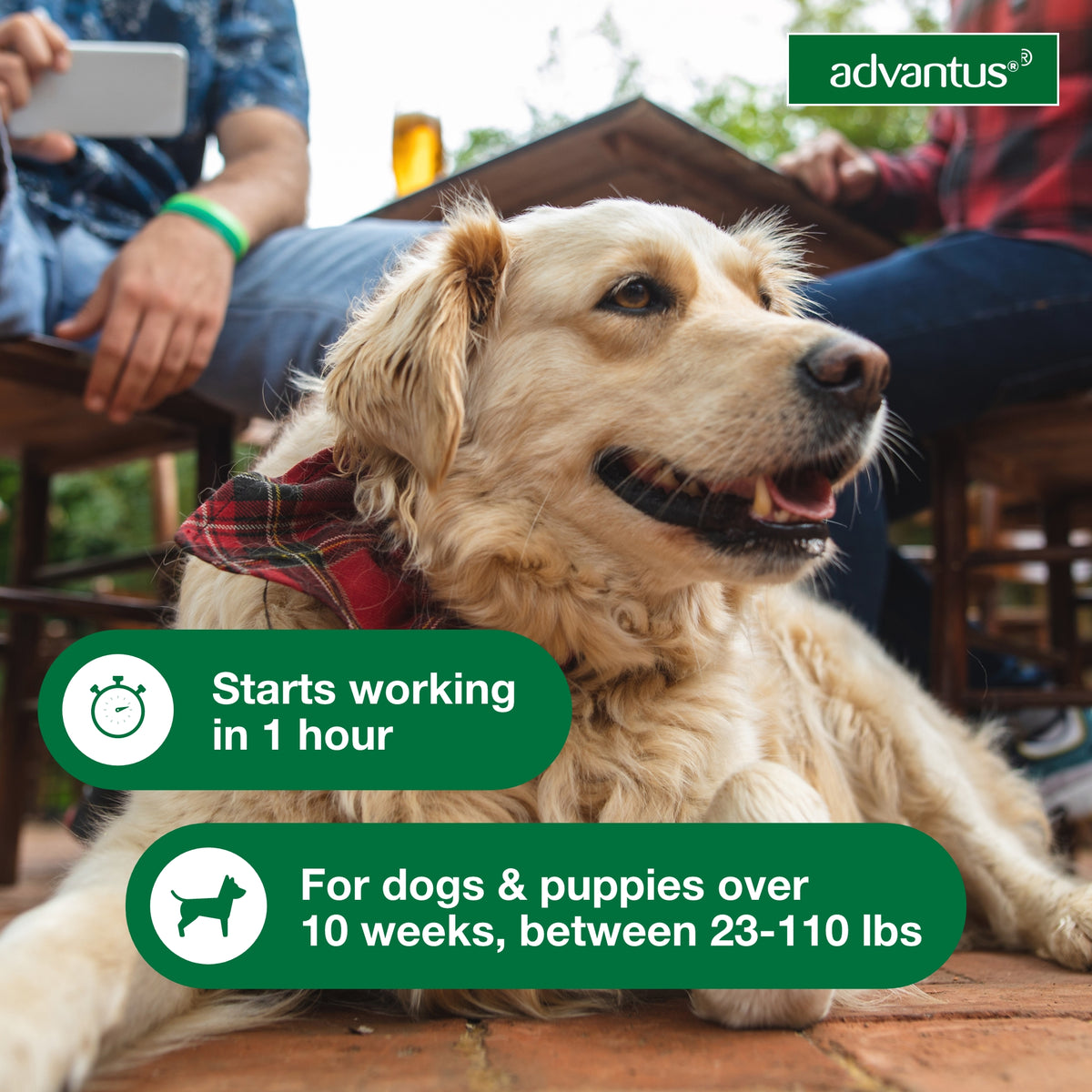Advantus Oral Flea Treatment Soft Chews For Dogs