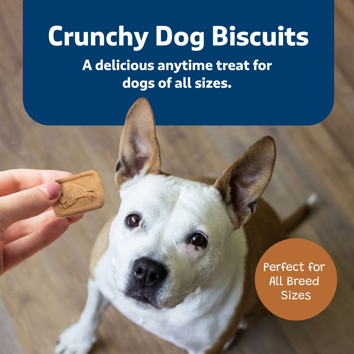 Blue Buffalo Health Bars With Pumpkin & Cinnamon For Dogs 16 oz