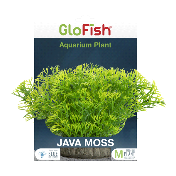 Tetra GloFish Java Moss Aquarium Plant