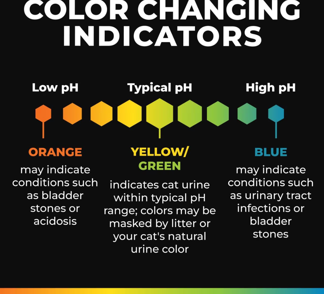 Arm & Hammer Litter Health IQ Cat Litter Additive with Color Changing Health Indicators 6.5 oz