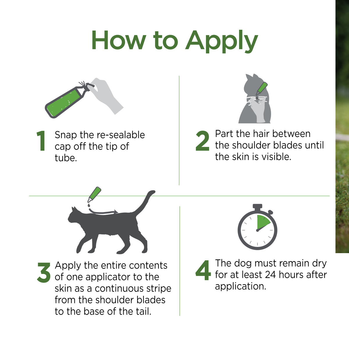 Vetality Firstect Plus for Cats Over 1.5 lbs, Kills Fleas, Flea Eggs & Larvae and Chewing Lice- 3 pack