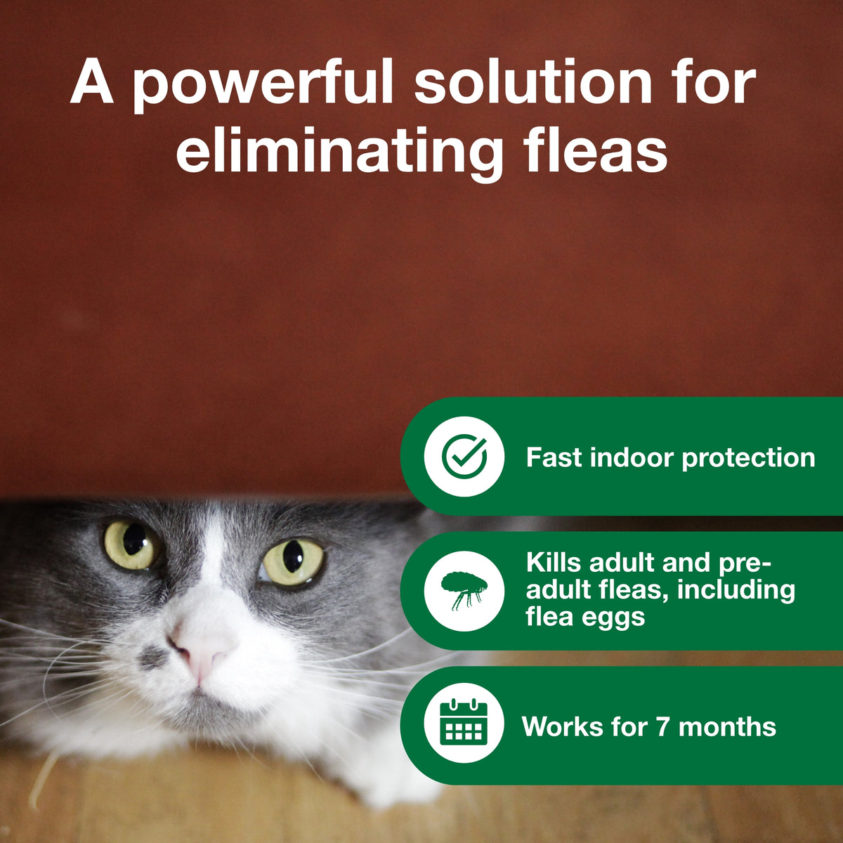 Advantage Flea And Tick Household Fogger 3 pk
