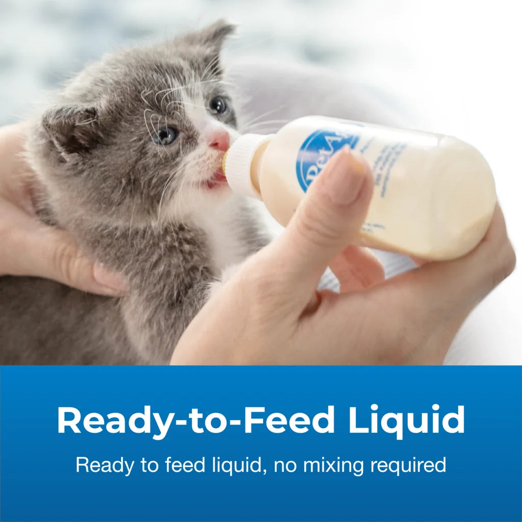 Petag KMR Kitten Milk Replacer Liquid Supplement 16 oz