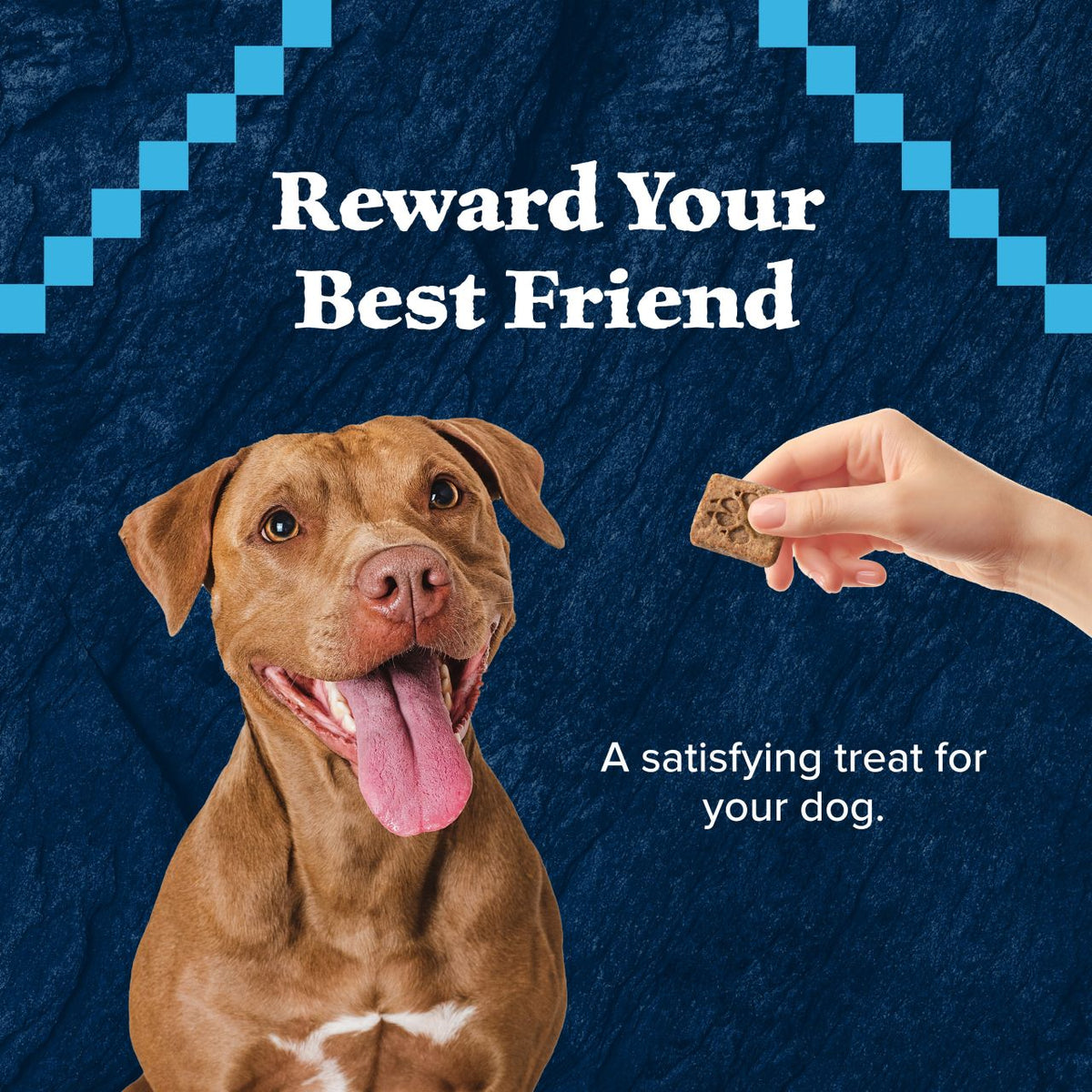 Blue Buffalo Wilderness Grain-Free Salmon Recipe Dog Biscuits 10 oz