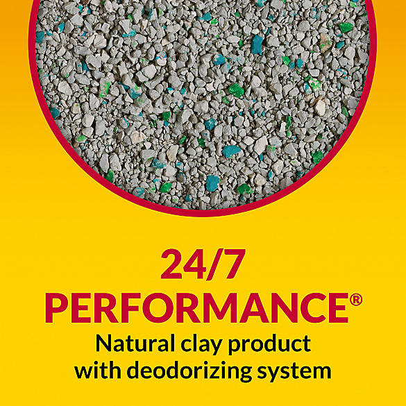 Tidy Cats 24/7 Performance Clumping Cat Litter For Multiple Cats 40 lb