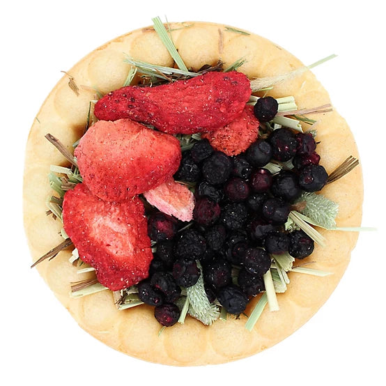 Vitakraft Berry & Harvest Pies Small Animal Treats 2 pk
