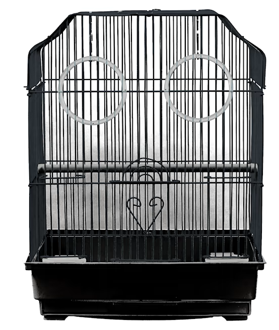 A&E Ornate Top Black Bird Cage 14 x 11 x 17 in