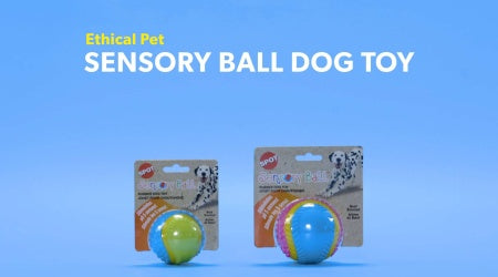 Spot Ethical Pet Beef Scented Sensory Ball Dog Toy 2.5 in