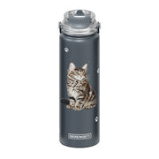 E & S Imports Serengeti Maine Coon Water Bottle 24 oz