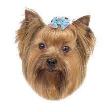Aria Dixie Dog Bows