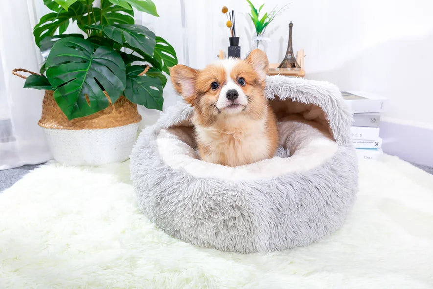 Petpals Igloo Pet Bed