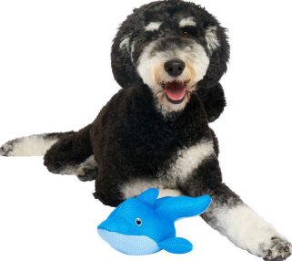 Canada Pooch Freeze & Chill Cooling Pal Frog Dog Toy