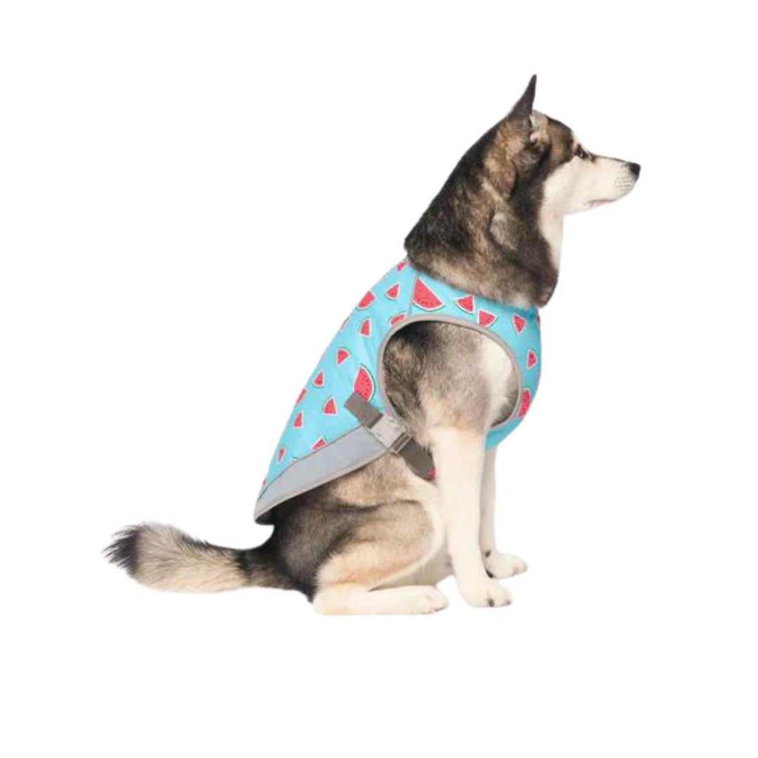 Canada Pooch Chill Seeker Cooling Pet Vest