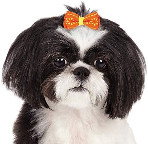 Aria Sunshine Dog Bow