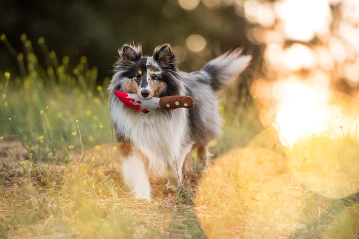 P.l.a.y. Halloween Howling Haunts Doggy Dagger Plush Dog Toy
