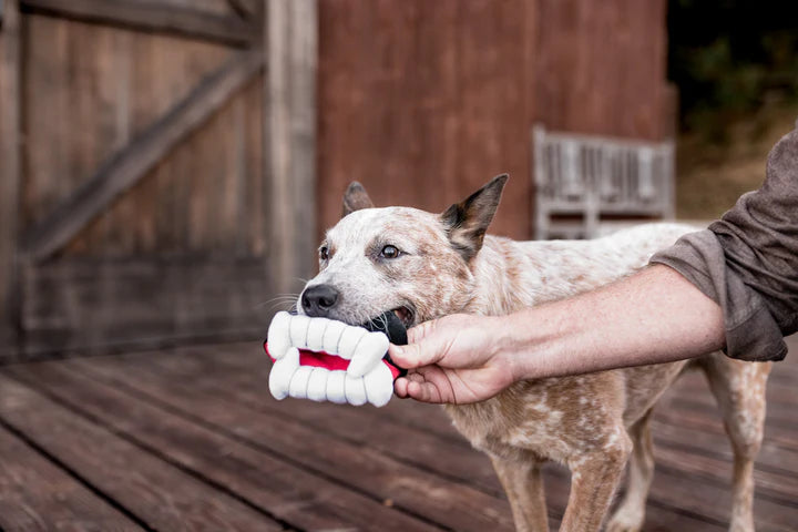 P.l.a.y. Halloween Howling Haunts Barky's Bite Plush Dog Toy
