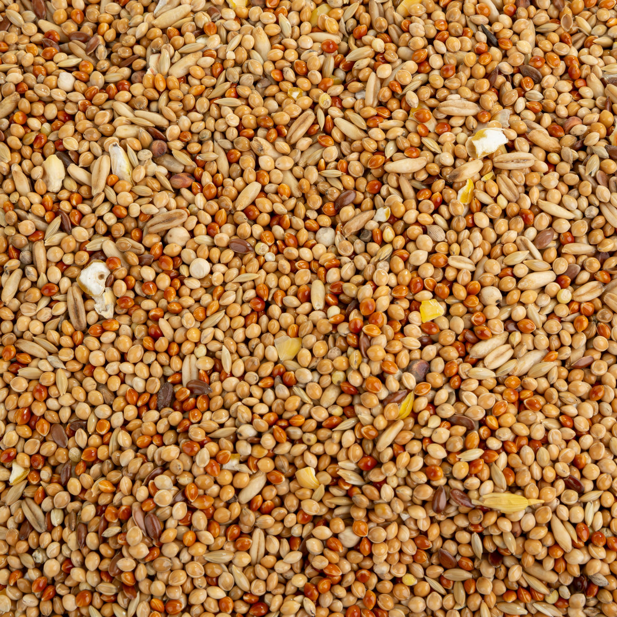 A&E Vita Line Complete Food for Budgie & Other Small Birds 4.85 lb
