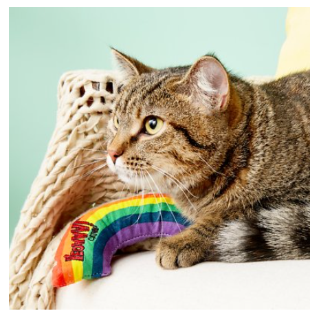 Yeowww Rainbow Catnip Pillow Cat Toy