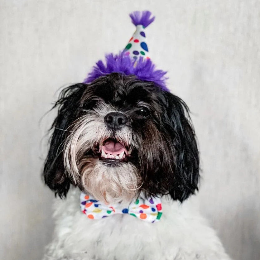 Huxley & Kent Birthday Barkday Pet Party Hat