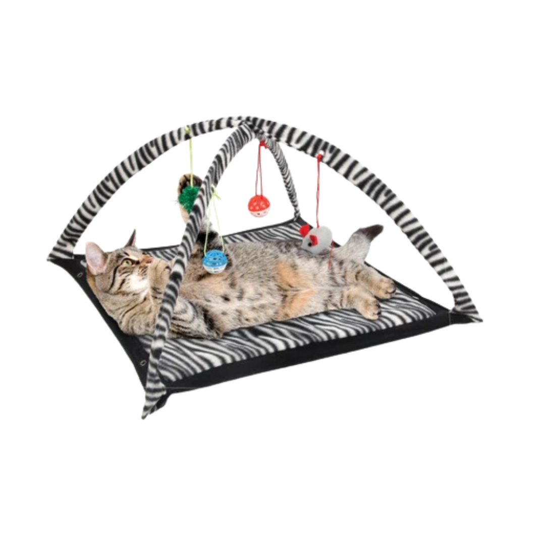 Kole Imports Zebra Print Cat Play Tent with Dangle Toys