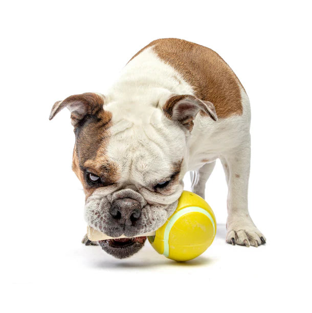 Guru Tennis Treat Ball Dog Toy & Chew Stick Holder