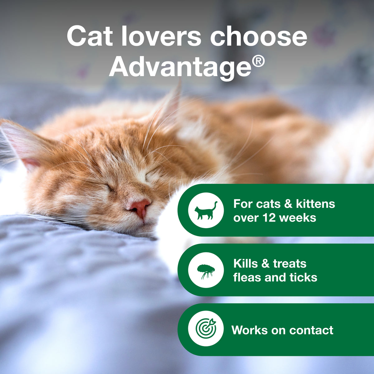 Advantage Flea And Tick Treatment Shampoo for Cats 8 oz