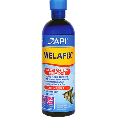 Api Melafix Freshwater Fish Infection Remedy 8 oz