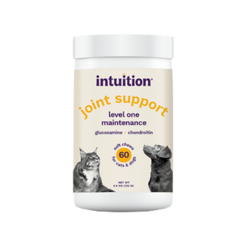 Intuition Soft Chews Level 1 Joint Supplement for Dogs & Cats 60 ct