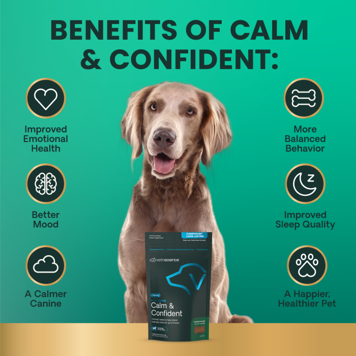 Vetriscience Long Lasting Calm & Confident Calming Chicken Flavored Soft Chews for Dogs 50 ct