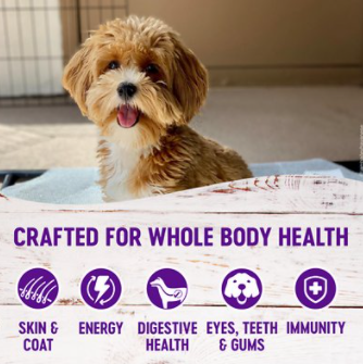 Wellness Complete Health Small Breed Adult Turkey & Oatmeal Recipe Dry Dog Food