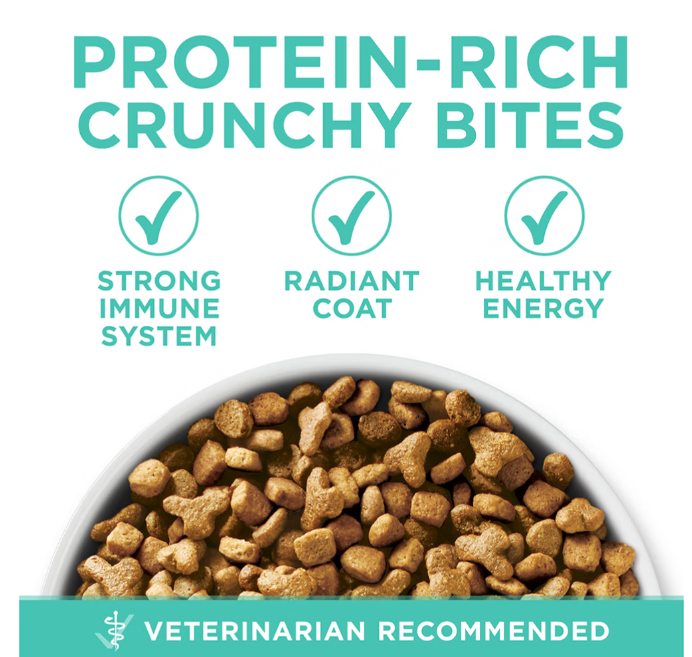 Purina ONE Sensitive Skin & Stomach Dry Cat Food
