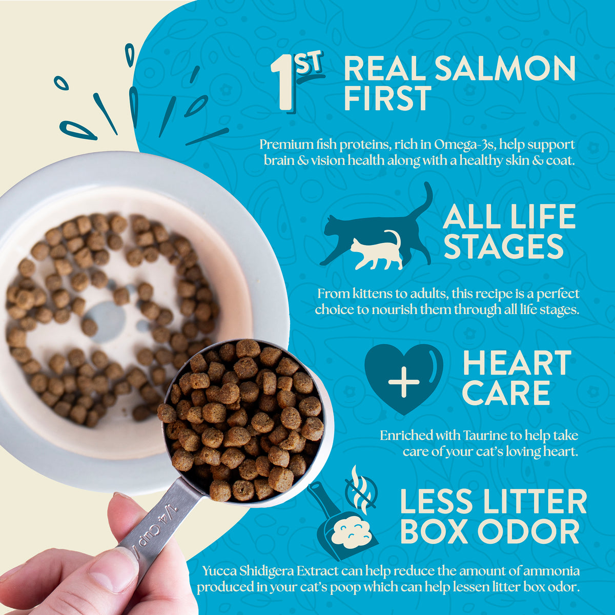 Earthborn Holistic Wild Sea Catch Grain-Free Natural Dry Cat & Kitten Food