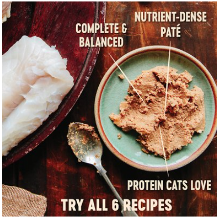 Wellness Core Kitten Natural Turkey & Chicken Liver Pate Canned Cat Food