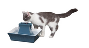 PetSafe Drinkwell Porcelain Stoneware Pagoda Pet Fountain .5 gal