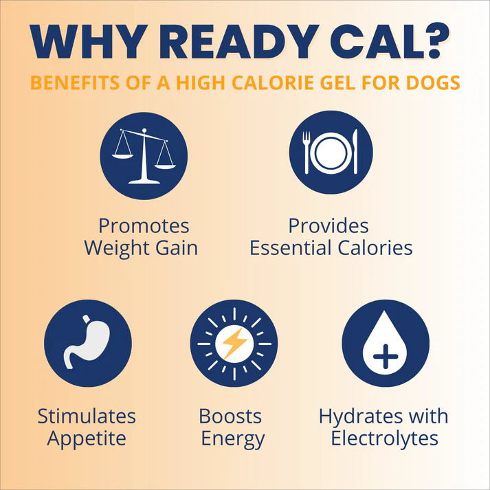 Under The Weather Ready Cal PLUS Electrolytes High Calorie Gel for Dogs 3.5 oz