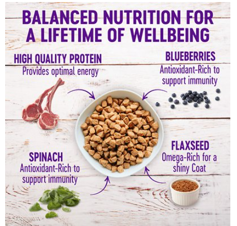 Wellness Complete Health Adult Lamb & Barley Recipe Dry Dog Food 26 lb