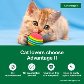 Advantage Topical Flea Treatment for Kittens 2 pk
