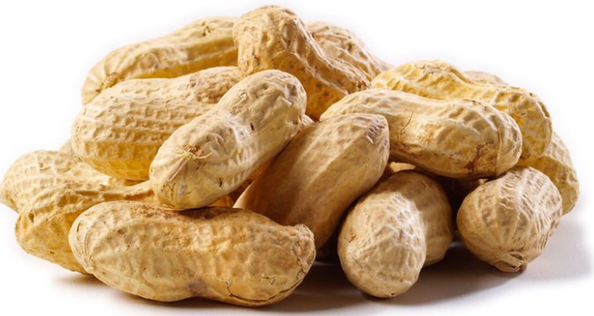 Burkmann Feeds Peanuts