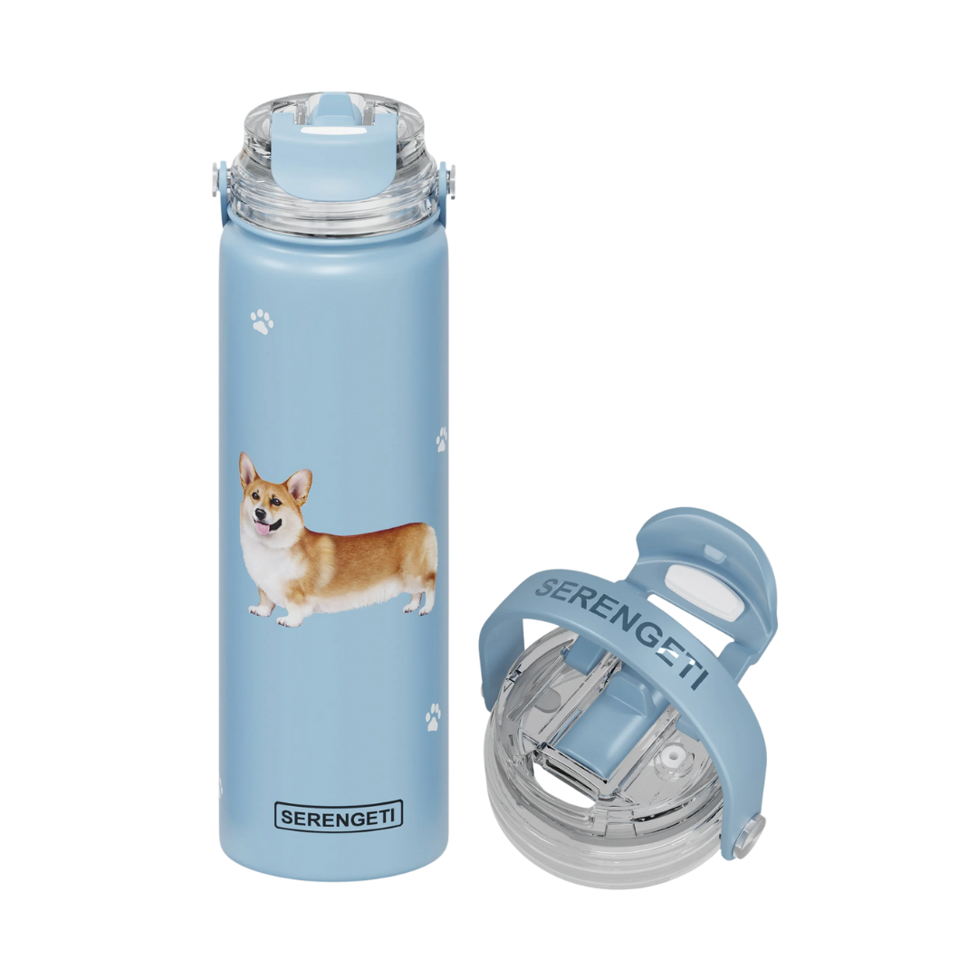 E & S Imports Serengeti Welsh Corgi Stainless Steel Water Bottle 24 oz