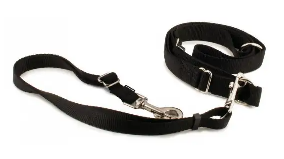 PetSafe Hands Free Leash