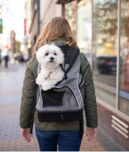 Bergan Backpack Pet Carrier