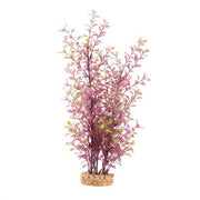 Fluval Red Ludwigia Aquarium Plant