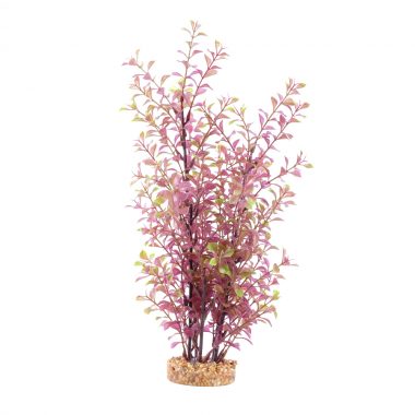 Fluval Red Ludwigia Aquarium Plant