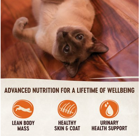 Wellness Core Kitten Natural Turkey & Chicken Liver Pate Canned Cat Food