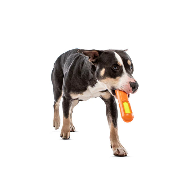Guru Tennis Max Stick Dog Toy